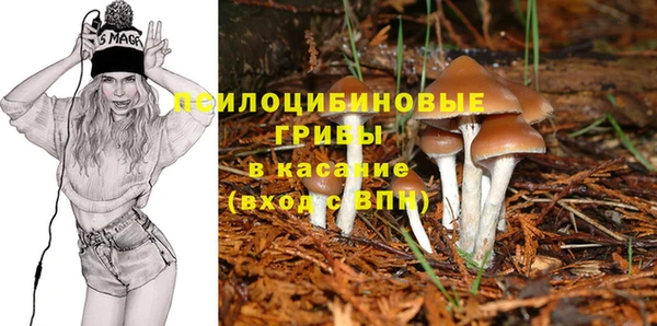 МДМА Алексеевка