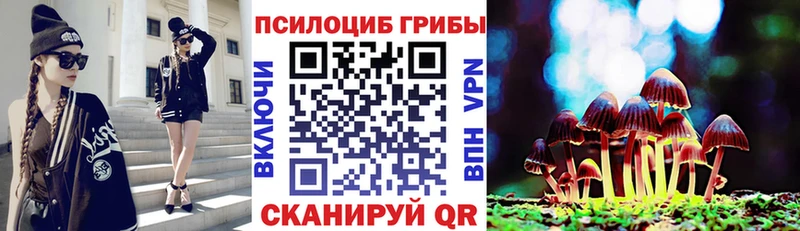 Галлюциногенные грибы MAGIC MUSHROOMS  даркнет сайт  площадка формула  Апрелевка 